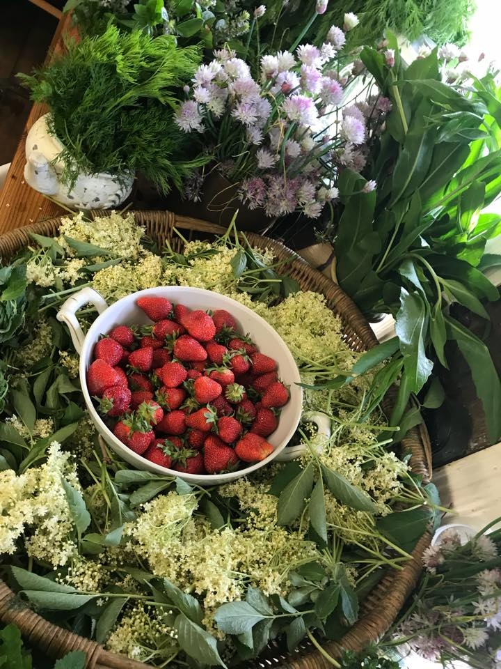 Holunderblütensirup im Spreewald